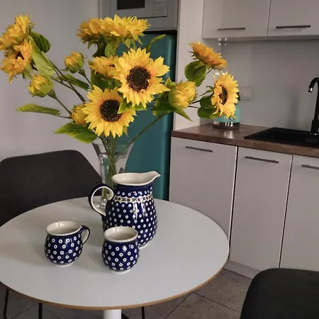 Spacious In The Heart Of * Poznan