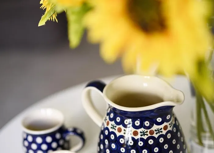 Spacious In The Heart Of ポズナン