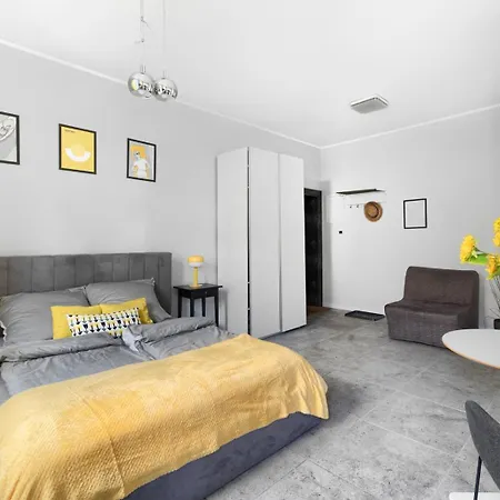 Spacious In The Heart Of Apartman Poznań