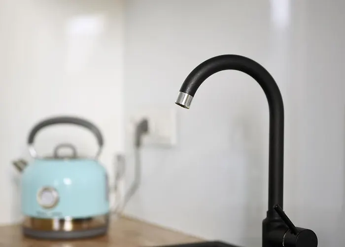 Daire Spacious In The Heart Of Poznan